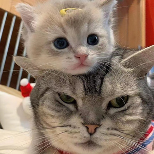 大学男厕自慰被偷拍2022
